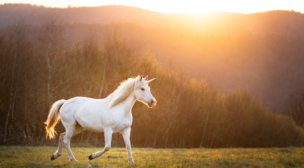 Preview image of Today’s Real Estate Market: The ‘Unicorns’ Have Galloped Off
